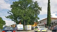 Zaradi nevarnega psa je bilo v sredo popoldne v Hrvatinih precej 
napeto. 