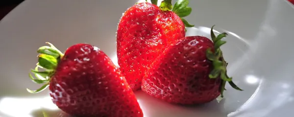 Jagode so primerne tudi za sladkorne bolnike. 