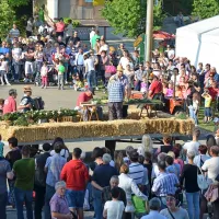 V Orehovljah vrhunec špargljevega praznika