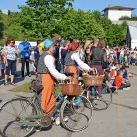 V Orehovljah vrhunec špargljevega praznika