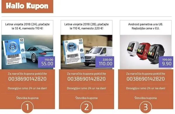 Preiskovalni sodnik je za 28-letnika, ki je lažno oglaševal prodajo 
poceni vinjet, odredil pripor.