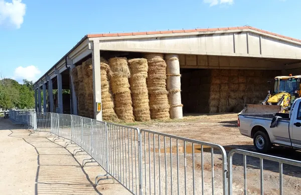 Od kod bodo letos prišle bale sena za lipiški senik? Na razpis se je prijavilo 27 ponudnikov, v Lipici jih bodo izbrali v prihodnjih dneh. 
