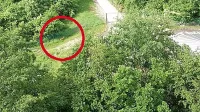 Pogled na območje črpališča in srno za njegovo ograjo z okna 
stanovanjskega bloka na Slavniški cesti v Hrpeljah.  