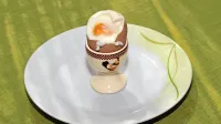 Jajca in raziskovanje njihovega vpliva na zdravje že leta delijo 
znanstvenike na zagovornike in nasprotnike. 