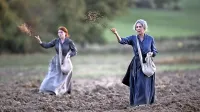 14. Kino otok se bo prihodnjo sredo slovesno začel s projekcijo 
filma Čuvarke.