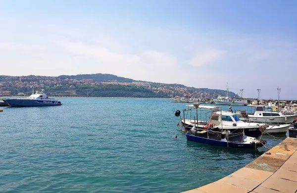 Kot je slišati, naj bi  plavajoči pomol umestiti v notranjem delu mandrača.