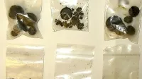 Policisti so med hišno preiskavo pri Koprčanu zasegli tudi nekaj 
gramov konoplje in konopljine smole. 