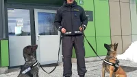 Odslej tudi s pomočjo pasjih smrčkov nad požigalce