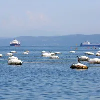 Slovensko morje si zasluži oceno dobro
