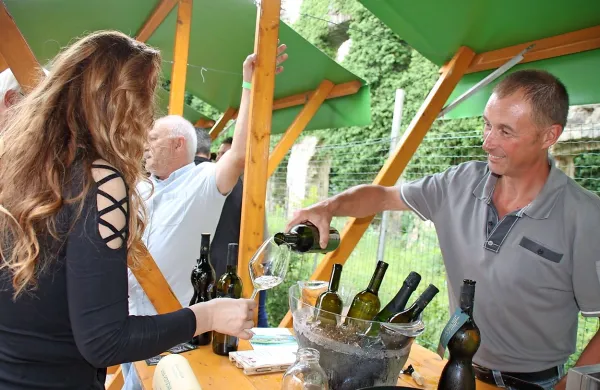 Vino je umetnina narave
