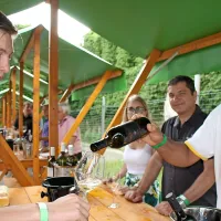 Vino je umetnina narave