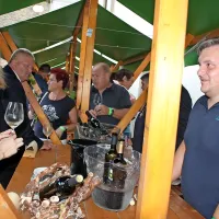 Vino je umetnina narave