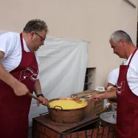 Vino je umetnina narave