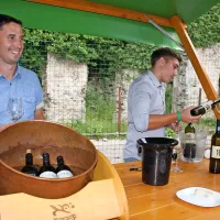 Vino je umetnina narave