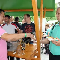Vino je umetnina narave