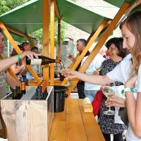 Vino je umetnina narave