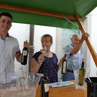 Vino je umetnina narave