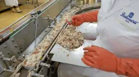 V Delamarisu na račun  daljše vožnje zaposlenih na delo nimajo 
slabih izkušenj, pravijo v Pivki Perutninarstvu.