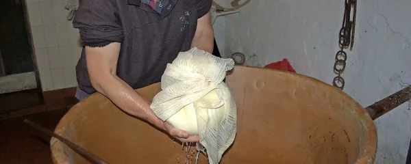 Zdenka, žena Mirana Prezlja, zajema sirno maso iz kotla.
