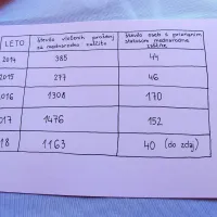 Tabela, ki so jo izdelali v Primorskem svetovalnem središču, kaže, 
koliko je v Sloveniji ljudi  s priznanim statusom mednarodne 
zaščite.