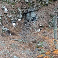 Najdene granate so uničevali posamično na štirih delovnih mestih, 
zato močnejši poki niso odjeknili. 