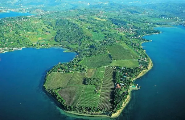 Debeli rtič je krajinski park