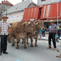 Zmagali so kar trije vozovi