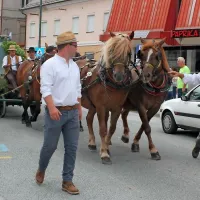 Konjeniško društvo sveti Štefan Vipavska dolina je letos predstavilo “furengo” zvona, ki velja za kralja furmanstva. 
