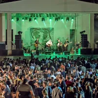 Festival gina je poklon Krasu