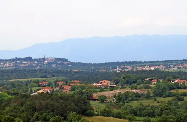 Zaradi pobude Križa (desno zgoraj), da bi postal svoja KS, 
sežanska občina predlaga  reorganizacijo vseh KS. Tomaj  (levo 
zgoraj) bi  morda ostal sam v svoji KS, Šmarje (levo spodaj) bi se 
izločile iz KS Sežana in  pridružile KS Dane.  

 