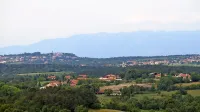 Zaradi pobude Križa (desno zgoraj), da bi postal svoja KS, 
sežanska občina predlaga  reorganizacijo vseh KS. Tomaj  (levo 
zgoraj) bi  morda ostal sam v svoji KS, Šmarje (levo spodaj) bi se 
izločile iz KS Sežana in  pridružile KS Dane.  

 