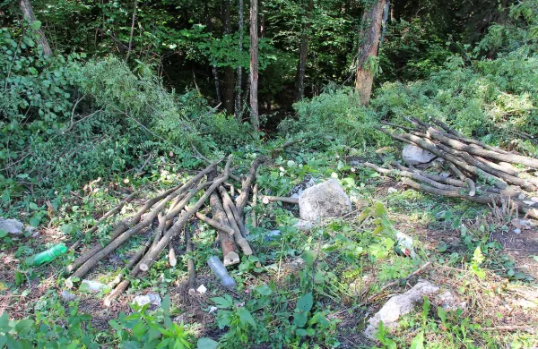 V dolinici  ob glavni cesti Kozina-Starod,  pri Hrušici, je  verjetno 
minulo zimo ugasnilo življenje migranta. 