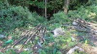 V dolinici  ob glavni cesti Kozina-Starod,  pri Hrušici, je  verjetno 
minulo zimo ugasnilo življenje migranta. 