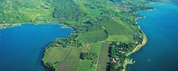 Družbena (ne)odgovornost
