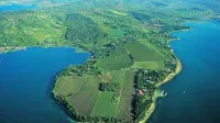 Družbena (ne)odgovornost