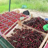 Inšpektorji pišejo kazni, prodajalci se požvižgajo