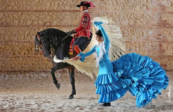 Lipicanci in andaluzijski konji bodo prikazali eno prvih poglavij v 
zgodovini Kobilarne Lipica, prihod španskih žrebcev. 