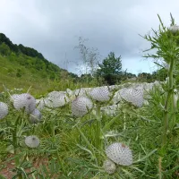 Narava ob poti je res raznolika.