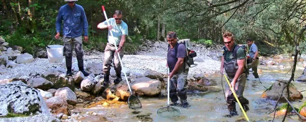 Strugo potoka Krajcarca so pregledovali ped za pedjo ter tolmun 
za tolmunom. 