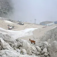  Letošnje poletje so  presegli rekord 500 obiskovalcev na dan.  