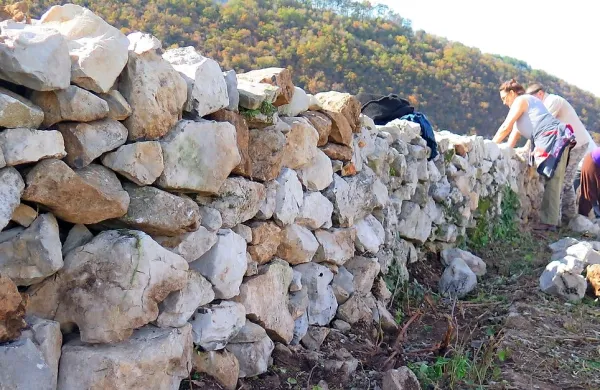 Sežanska občina je v svojem proračunu namenila 40.000 evrov za 
sofinanciranje obnove suhih zidov, materiala in izobraževanja.