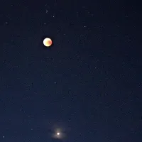 Popoln Lunin mrk, fotografiran v Kopru. 