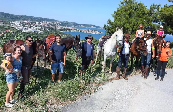 Prizor, ki ga ne vidiš vsak dan: v ospredju konji, v ozadju izolski 
polotok.    