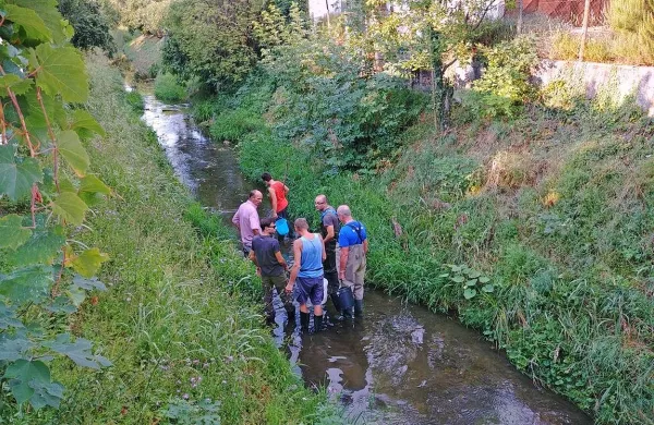 Za ribe naj bi bila usodna nizek pretok in pretopla voda v 
Vrtojbici.