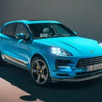 Macan je sedaj videti malce bolj agresivno.