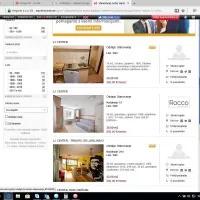 Pogled na spletno stran nepremicnine.net