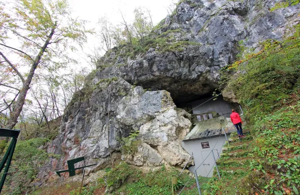 Država je mačehovska do edinstvenega arheološkega najdišča. 