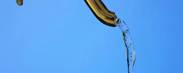 Na Krasu pijejo tudi soško vodo
