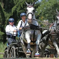 Miha Tavčar in Damjan Ščuka sta z lipicancema zmagala na 
tekmovanju v vožnji dvovpreg na Češkem. 