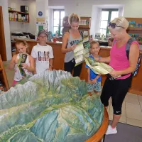 Informacije o krožni poti do slapa Kozjak sta mamici z nadebudneži našli v kobariški Zeleni hiši. 